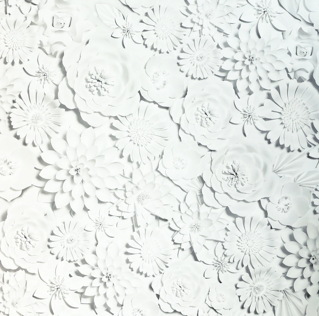 3D Flower Wall White